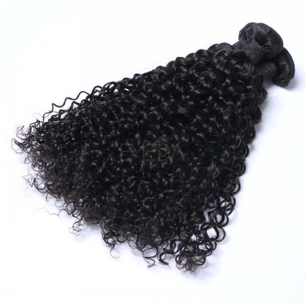 Indian virgin hair Kinky curl LJ193 